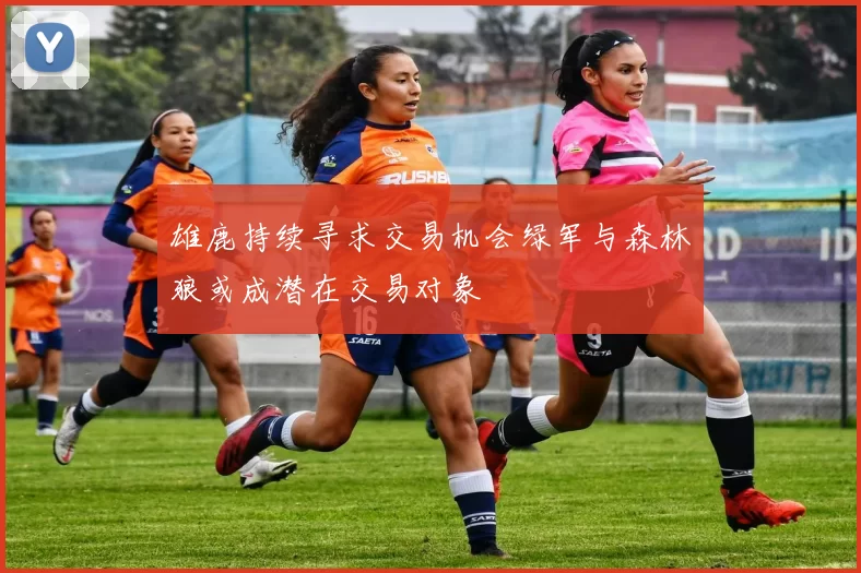 雄鹿持续寻求交易机会绿军与森林狼或成潜在交易对象