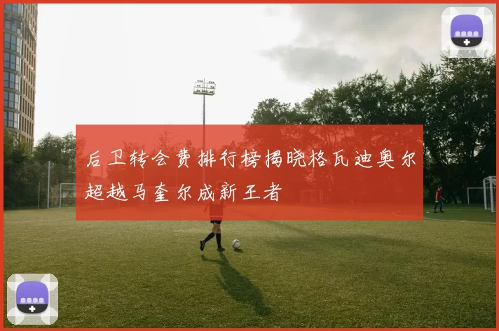 后卫转会费排行榜揭晓格瓦迪奥尔超越马奎尔成新王者
