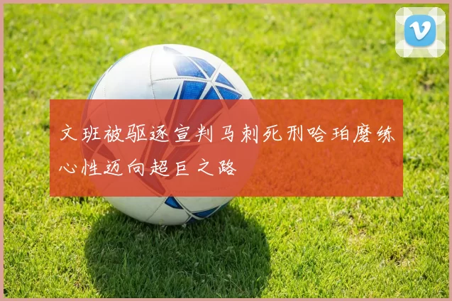 文班被驱逐宣判马刺死刑哈珀磨练心性迈向超巨之路